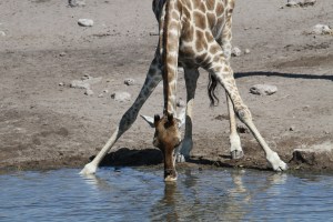 20_IMG_1404_Drinking technique2